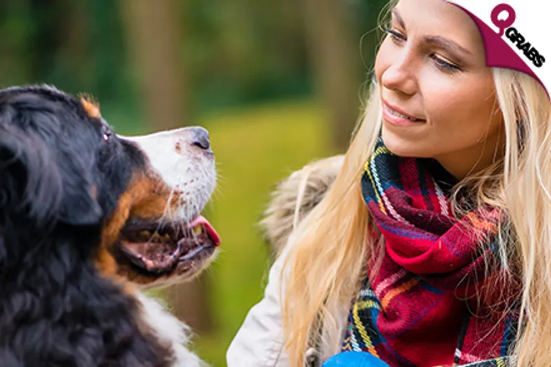 For QR69 Learn to Control Your Dog’s Behaviour with an Online Canine Training Course! (QR1347 Value)